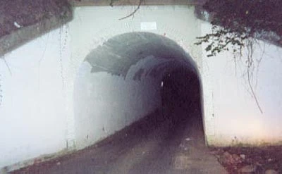 Bunny Man Bridge reference photo 1