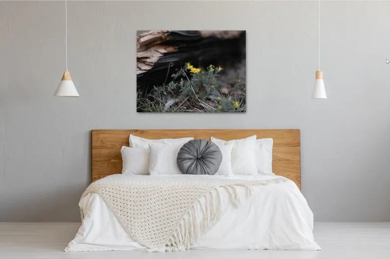 Curt Gowdy State Park Canvas, Metal Prints