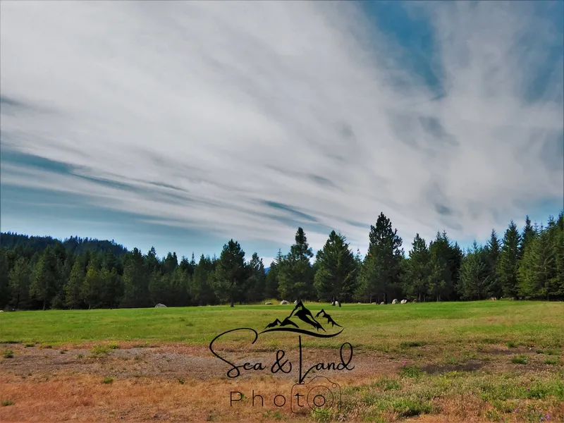 Farragut State Park photographic print