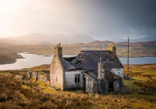The House